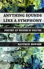 Anything Sounds Like A Symphony - Preview