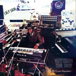 Capa do artigo Anything You Sow - Vinil