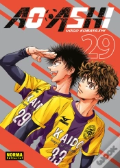 Capa do artigo Ao Ashi 29