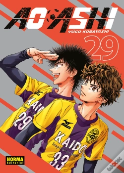 Capa do artigo Ao Ashi 29
