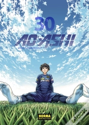 Capa do artigo Ao Ashi 30