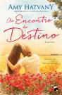 Ao Encontro do Destino - Preview