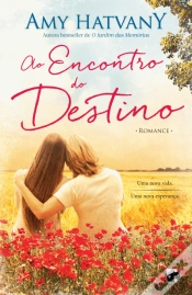 Capa do artigo Ao Encontro do Destino