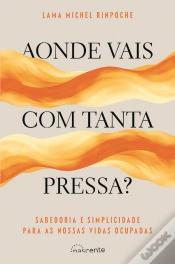 Capa do artigo Aonde Vais com Tanta Pressa?