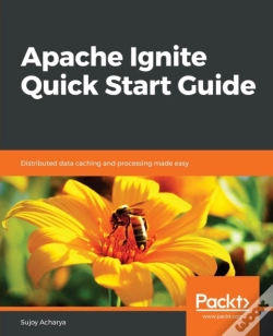 Capa do artigo Apache Ignite Quick Start Guide