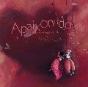 Apaixonados - Preview