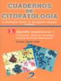 Aparato Respiratorio-I - Preview
