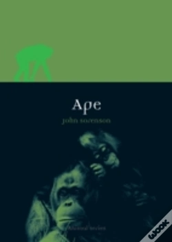 Capa do artigo Ape