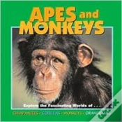 Capa do artigo Apes And Monkeys