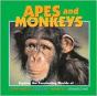 Apes And Monkeys - Preview