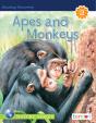 Apes And Monkeys - Preview