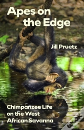 Apes On The Edge