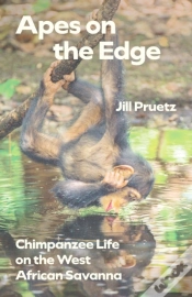 Capa do artigo Apes On The Edge