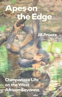 Capa do artigo Apes On The Edge