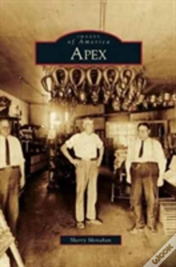 Capa do artigo Apex