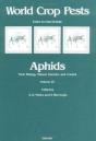 Aphids - Preview