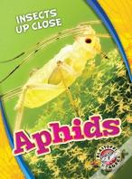 Aphids