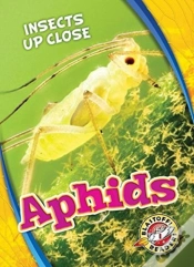 Capa do artigo Aphids