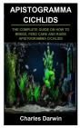 Apistogramma Cichlids - Preview