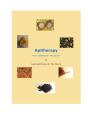Apitherapy - From A Beekeeper'S Perspective - Preview