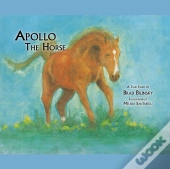 Apollo The Horse