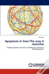 Apoptosis In Liver