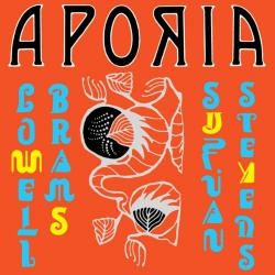 Capa do artigo Aporia - Vinil