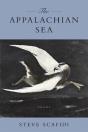 Appalachian Sea - Preview