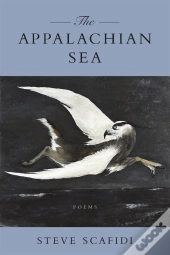 Appalachian Sea