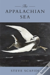 Capa do artigo Appalachian Sea