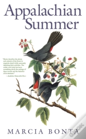Capa do artigo Appalachian Summer