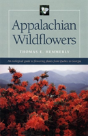 Appalachian Wildflowers - Preview