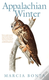 Capa do artigo Appalachian Winter