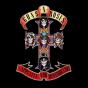 Appetite For Destruction - CD - Preview