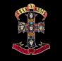 Appetite for Destruction - CD - Preview