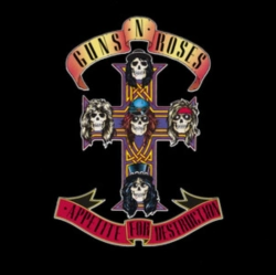 Capa do artigo Appetite for Destruction - CD