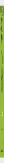 Apple S