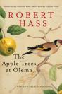 Apple Trees At Olema - Preview