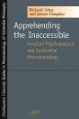 Apprehending The Inaccessible - Preview