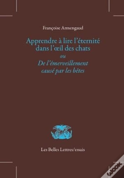 Capa do artigo Apprendre À Lire L'Éternité Dans L'Oeil Des Chats