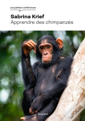 Apprendre Des Chimpanzés