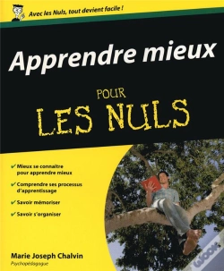Capa do artigo Apprendre Mieux Pour Les Nuls