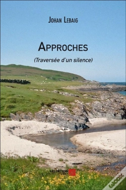 Capa do artigo Approches