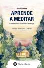Aprende A Meditar - Preview