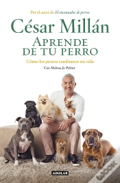 Capa do artigo Aprende De Tu Perro