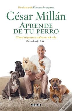 Capa do artigo Aprende De Tu Perro