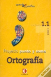 Capa do artigo Aprende Y Practica, Punto Y Coma, Ortografía, 1.1