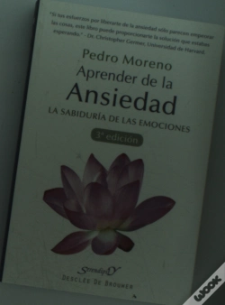 Capa do artigo Aprender De La Ansiedad