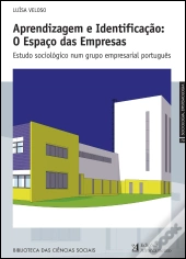 Aprendizagem e Identificação: O Espaço das Empresas