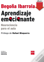 Capa do artigo Aprendizaje Emocionante